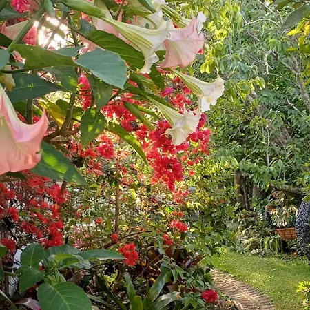 Ashcroft Gardens Bed & Breakfast Napier Exterior photo